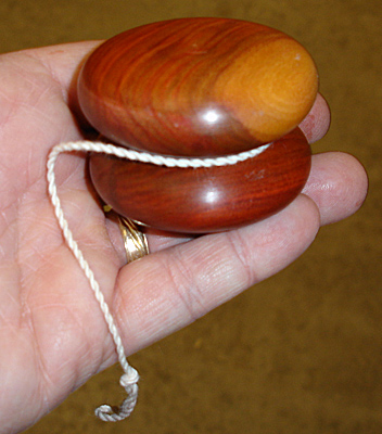 YoYo1.jpg